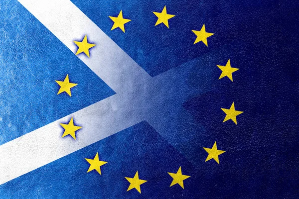 Schotland en Europese Unie vlag geschilderd op leder texture — Stockfoto