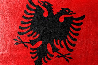 deri dokusu üzerinde boyalı Arnavutluk bayrağı