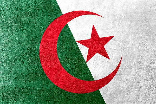 Algeria Flag painted on leather texture — Stock Photo, Image