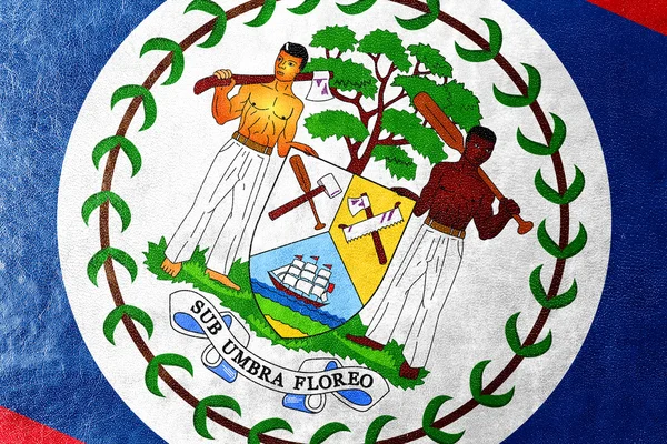 Belize Flagge auf Leder Textur gemalt — Stockfoto