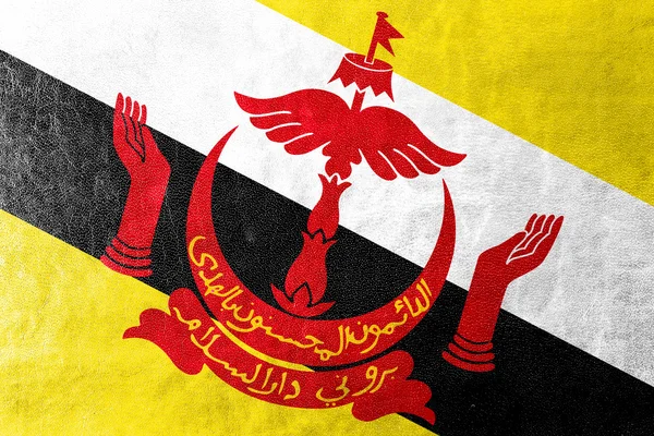 Vlajka Bruneje namalované na kožené textury — Stock fotografie