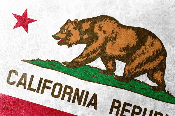 加利福尼亚州州旗在皮革纹理上绘制 — 图库照片
