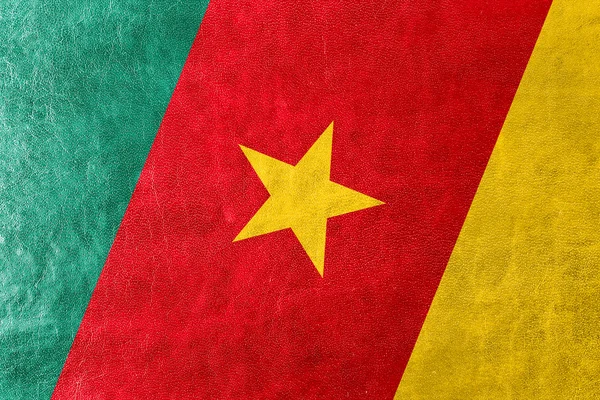 Kamerun Flagge auf Leder Textur gemalt — Stockfoto