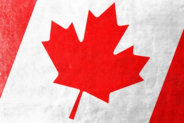 Bandera de Canadá pintada sobre textura de cuero —  Fotos de Stock