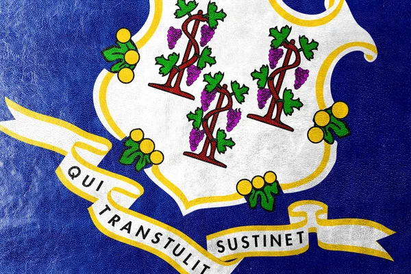 Vlajka státu Connecticut na kožené textury — Stock fotografie