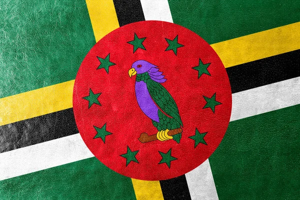 Dominica vlag geschilderd op leder texture — Stockfoto