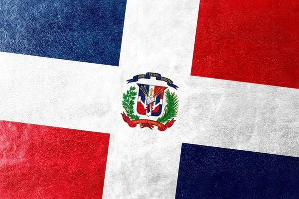 Repubblica Dominicana Bandiera dipinta su texture in pelle — Foto Stock