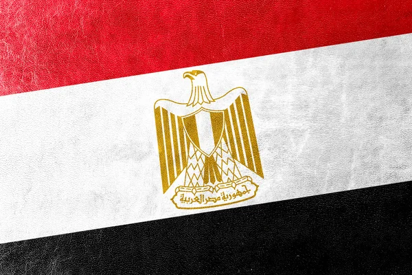 Egypt Flag painted on leather texture — Stock Photo, Image