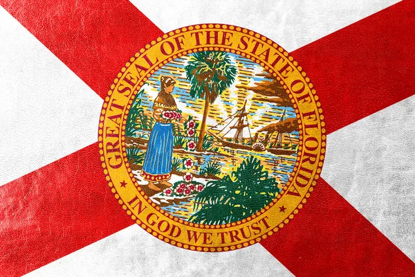 Florida State Flagge auf Leder Textur gemalt — Stockfoto