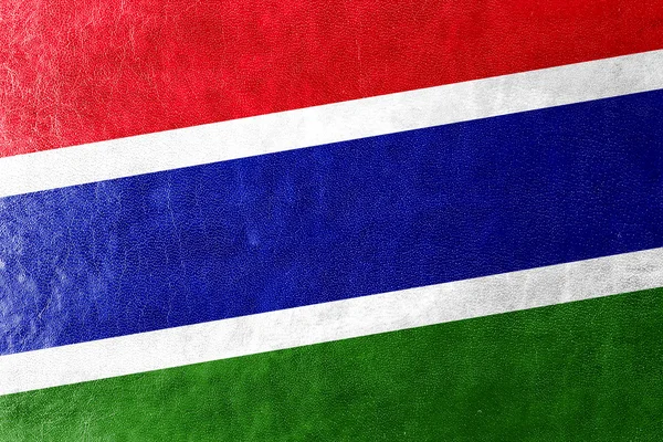 Gambia-Flagge auf Lederstruktur gemalt — Stockfoto