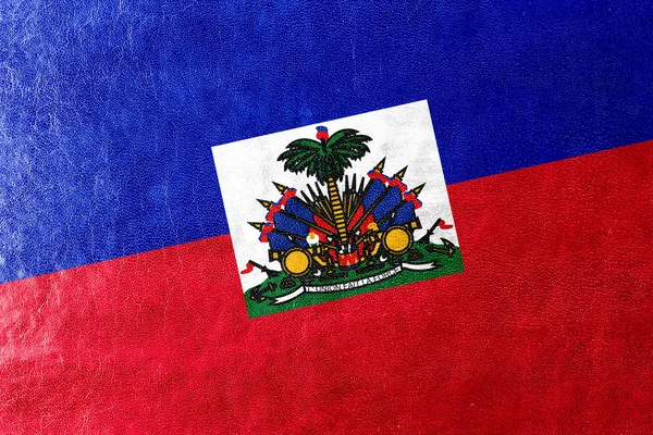 Haitianische Flagge auf Lederstruktur gemalt — Stockfoto