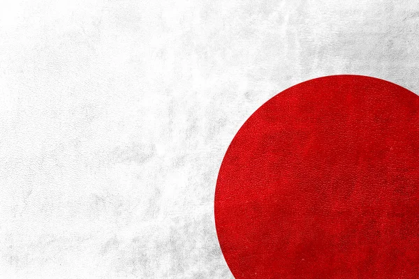 Japan Flag painted on leather texture — Stock Photo, Image