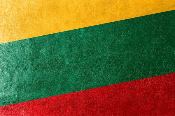 レザーのテクスチャに描かれたリトアニアの国旗 — ストック写真