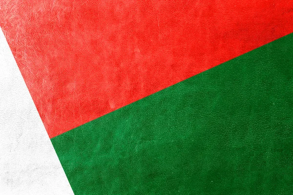 Madagaskar flaggan målad på läder texture — Stockfoto