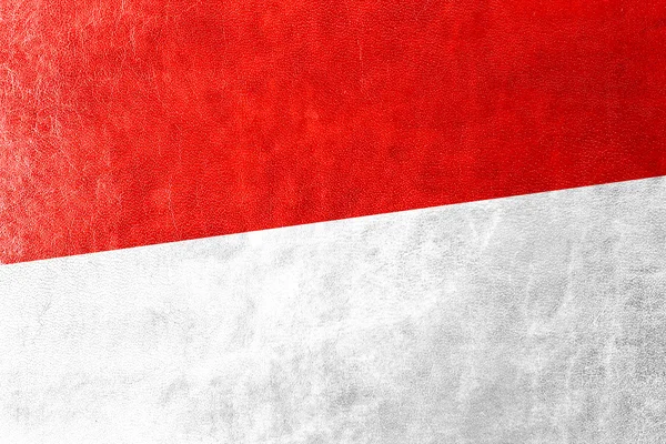 Monaco Flag painted on leather texture — Stock Photo, Image