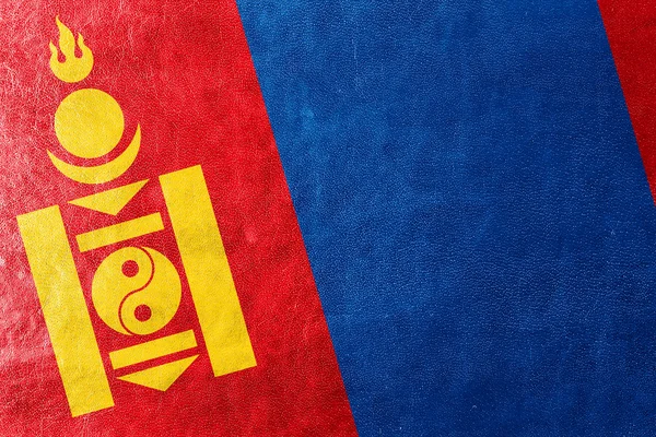 Mongolië vlag geschilderd op leder texture — Stockfoto