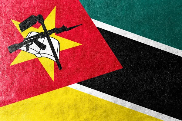 Mozambique Drapeau peint sur la texture du cuir — Photo