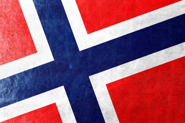 Norge flagga målade på läder texture — Stockfoto