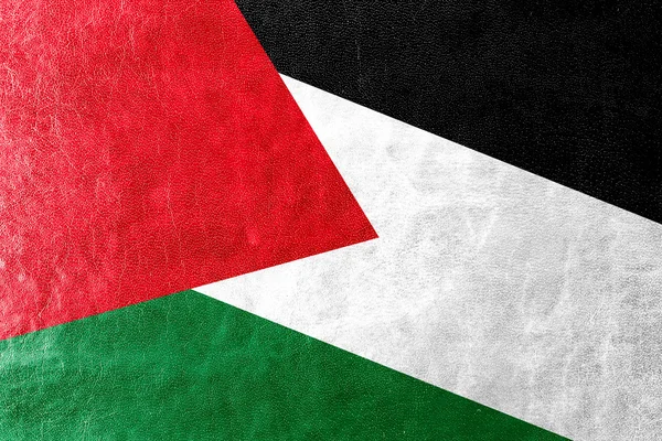 Bandera de Palestina pintada sobre textura de cuero —  Fotos de Stock