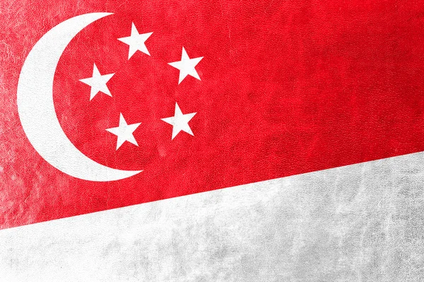 Singapore Flagge auf Lederstruktur gemalt — Stockfoto