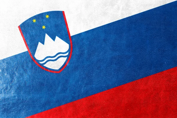 Deri dokusu üzerinde boyalı Slovenya bayrağı — Stok fotoğraf