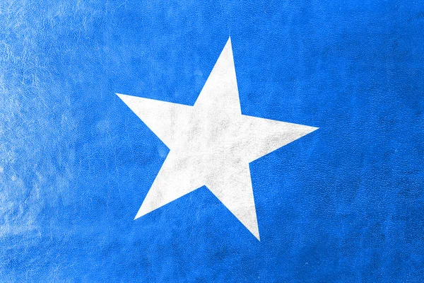 Somalias Flagge auf Lederstruktur gemalt — Stockfoto