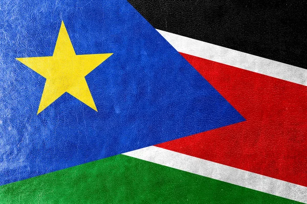 Südsudan-Flagge auf Lederstruktur gemalt — Stockfoto