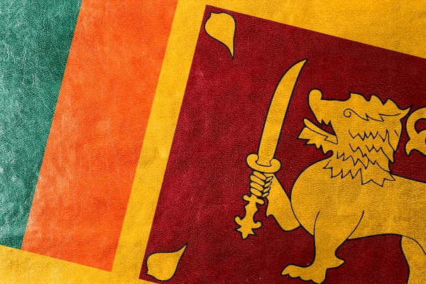 Sri lanka Fahne auf Lederstruktur gemalt — Stockfoto