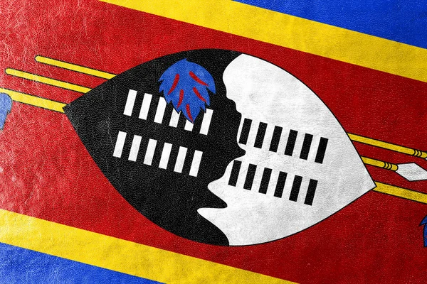 Swaziland vlag geschilderd op leder texture — Stockfoto