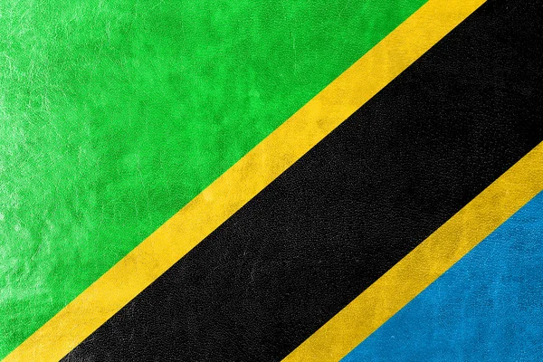 Bandera de Tanzania pintada sobre textura de cuero — Foto de Stock