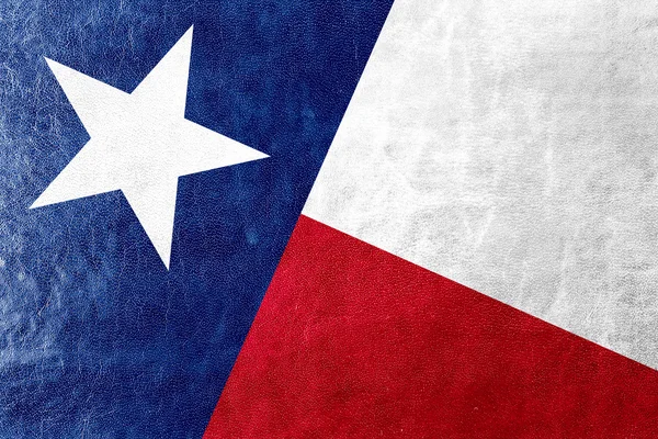 Texas state flag lackiert auf leder textur — Stockfoto