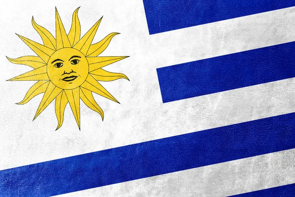 Uruguay Flagge auf Leder Textur lackiert — Stockfoto