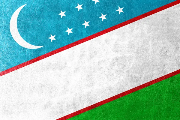 Usbekistan Flagge auf Leder Textur gemalt — Stockfoto