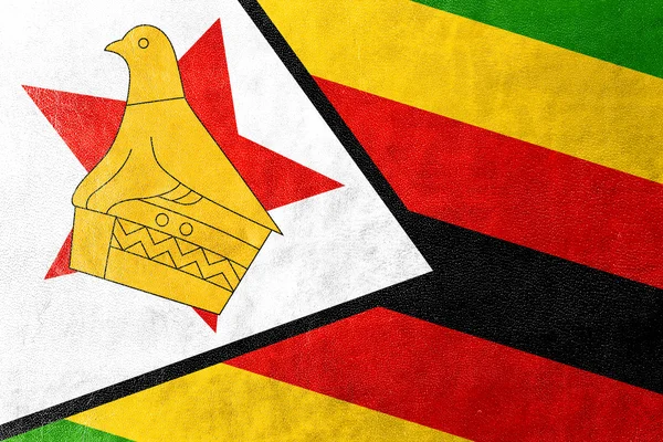 Bandeira do Zimbabué pintada sobre textura de couro — Fotografia de Stock