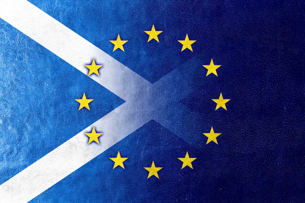 革の質感に描かれたスコットランド、欧州連合の旗 — ストック写真