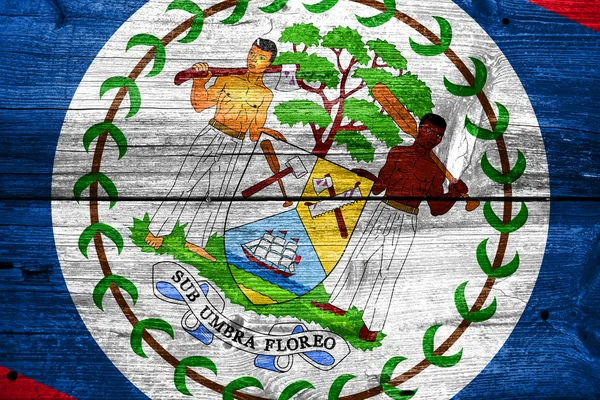 Bandeira de Belize pintada na textura da prancha de madeira velha — Fotografia de Stock