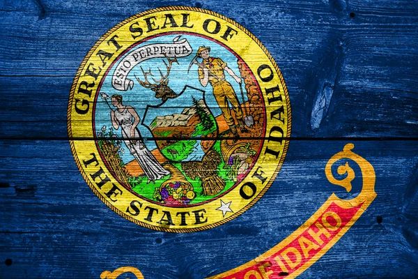 Idaho State Flag painted on old wood plank texture — Stock Photo, Image