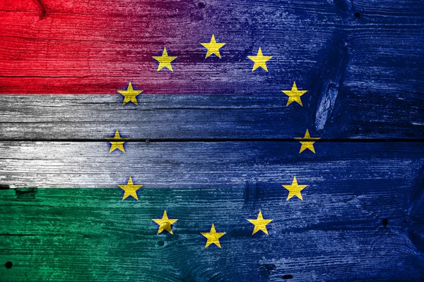 Hungary and European Union Flag painted on old wood plank texture — Stock Photo, Image