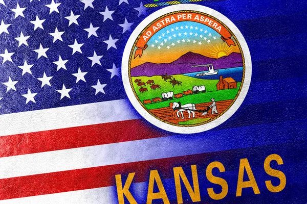 Stati Uniti e Kansas State Flag dipinta su texture in pelle — Foto Stock