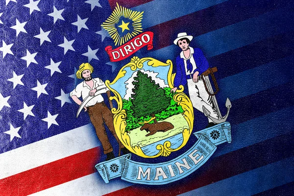 ABD ve Maine Eyalet bayrağı deri dokusu üzerinde boyalı — Stok fotoğraf