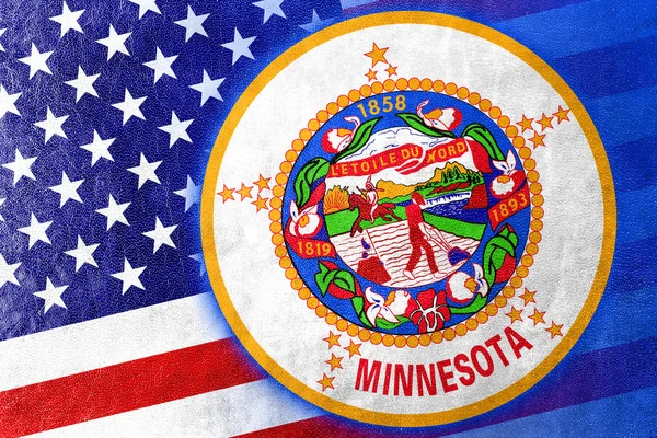 Drapeau d'État des États-Unis et du Minnesota peint sur la texture du cuir — Photo