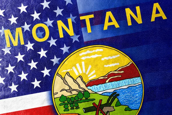 Drapeau d'État des États-Unis et du Montana peint sur la texture du cuir — Photo