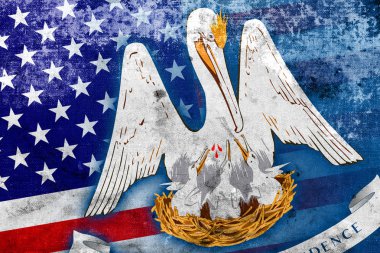 ABD ve Louisiana Devlet bayrağı vintage ve eski bir görünüm ile