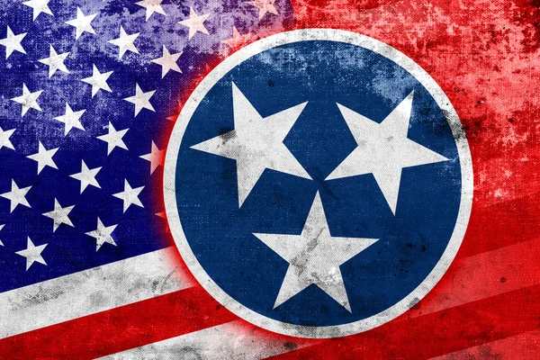 ABD ve Tennessee Devlet bayrağı vintage ve eski bir görünüm ile