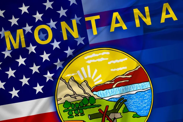 Waving USA and Montana State Flag — Stock Photo, Image