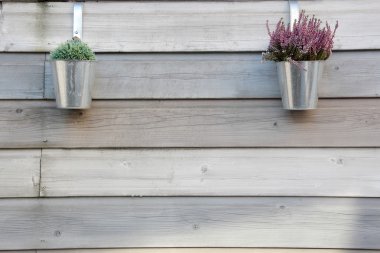 Metal kap ile Bahçe ahşap arka plan