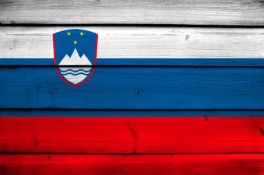ahşap arka plan Slovenya bayrağı