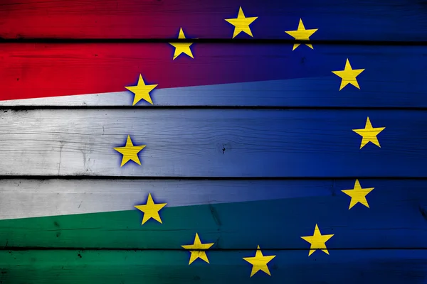 Hungary and European Union Flag on wood background — Stock Photo, Image