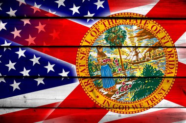 ABD ve Florida Devlet bayrağı ahşap arka plan üzerinde