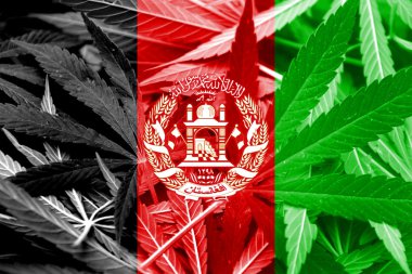 Afganistan bayrağı esrar arka plan üzerinde. Uyuşturucu politikası. Marihuana yasallaştırma
